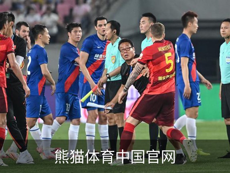 熊猫体育中国官网简介